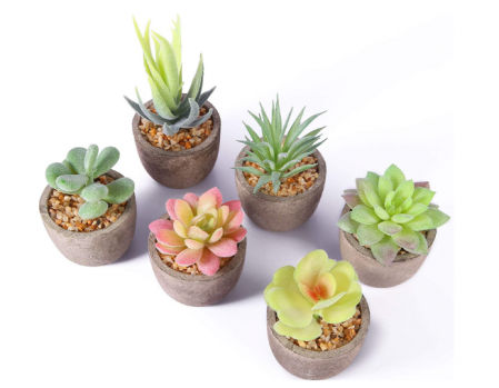 6 plantas carnosas artificiales con maceta