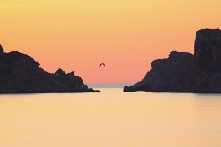 Cromatismo de verano en las islas Medas.