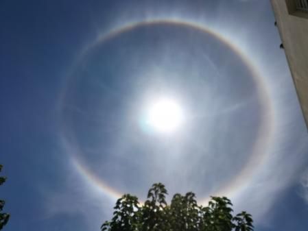 halo solar port ginesta