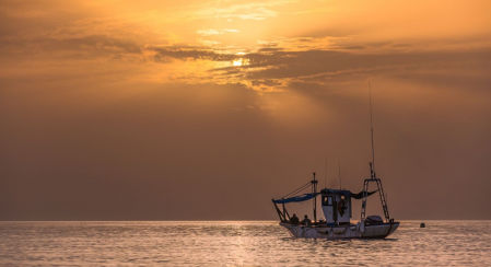 Mariscadores faenando al amanecer entre la calima en Fuengirola.