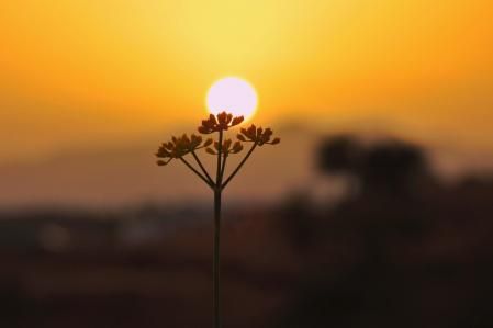 Amanecer calimoso en Mijas.