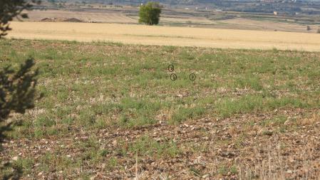 reto perdices solución