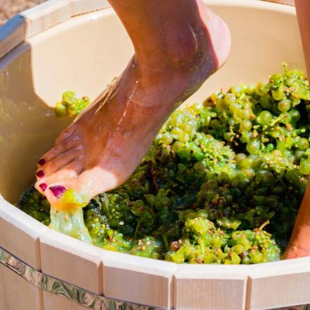 Pisado de uvas con los pies