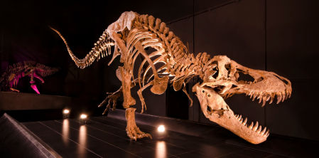 peques-planes-dinopolis