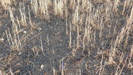 Solución al Reto visual también en esta otra imagen.