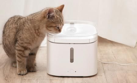 Xiaomi Smart Pet Fountain