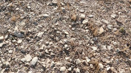 El círculo negro marca la solución a este Reto visual.