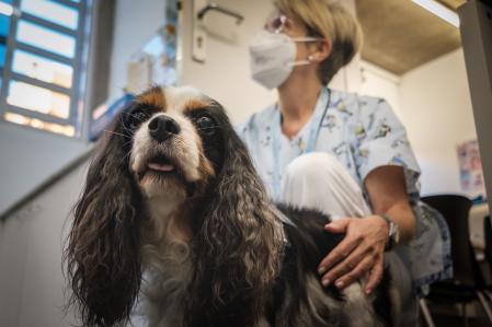 Su último día de trabajo