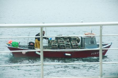 Pesca tradicional de pulpo en Galicia