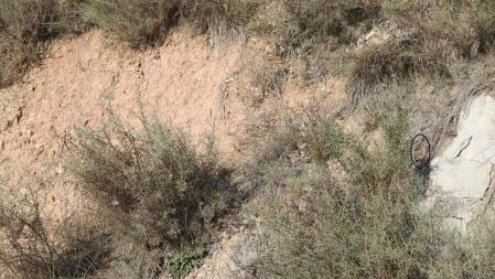 Solución al Reto visual.