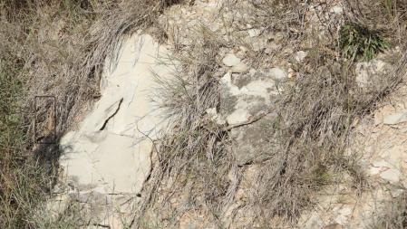 La imagen muestra la solución al Reto visual.