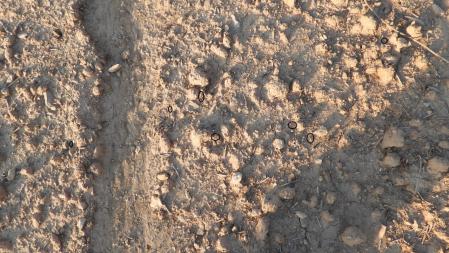 Reto visual: la solución.