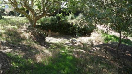 Fonts de Santa Maria.