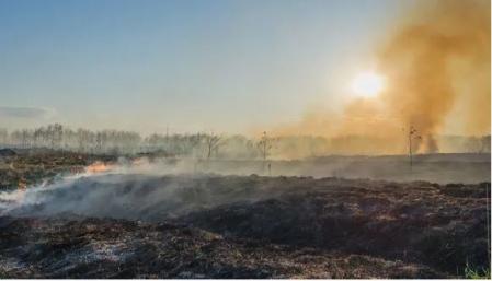 Los humanos ya destruían ecosistemas en los tiempos bíblicos