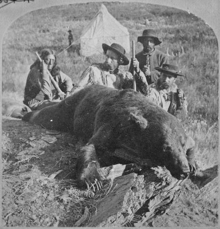 El oso de Custer