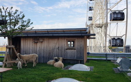 En lLa azotea de el Werk 3,junto a la noria, se ha instalado una escuela alpina con su propio rebaño