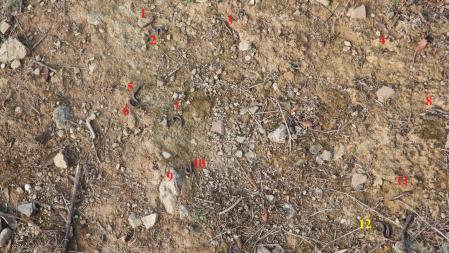 Solución al Reto visual de los milpiés.