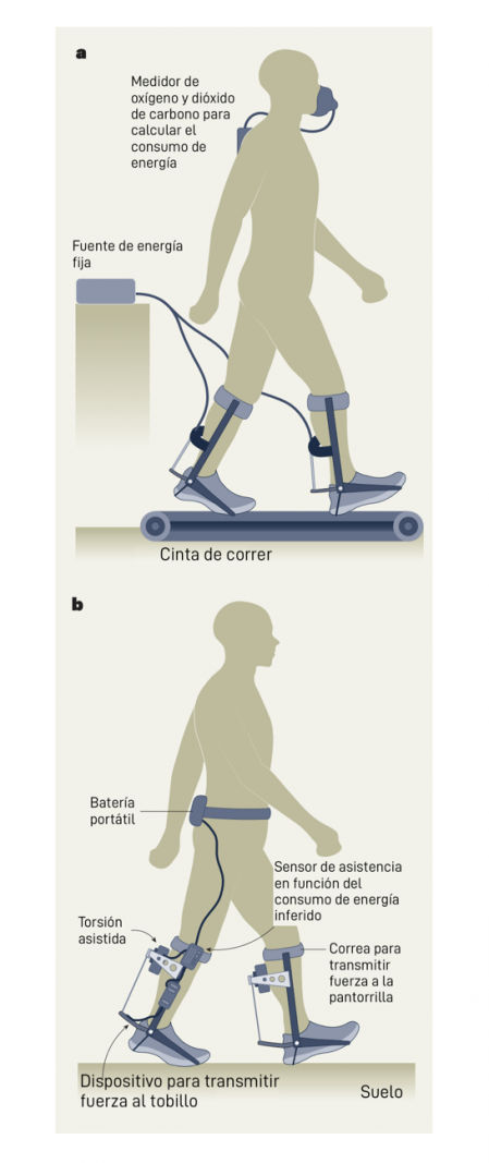 Infografía sobre las diferencias del exoesqueleto empleado en laboratorio y en la calle