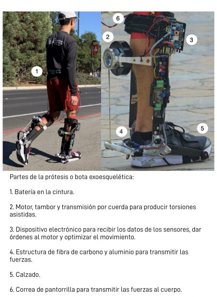 Partes del exoesqueleto de tobillo