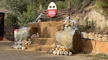 peques-planes-granja-aventura-park-halloween