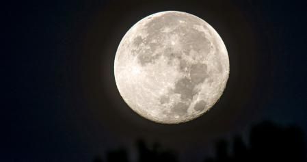 La luna a punto de esconderse entre los árboles.
