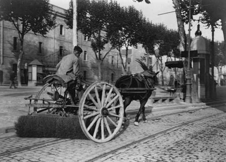La Rambla, en 1900.