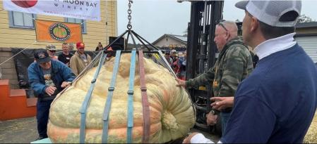 El momento en el que pesaron la calabaza en el concurso