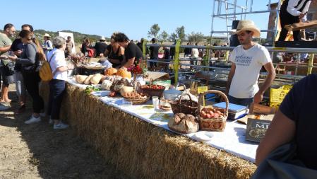 La fiesta de Sant Galderic en Ivorra.