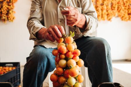 Hombre preparando una ristra de tomates en la región de la Puglia italiana