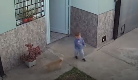 El momento en que el bebé escapa de casa