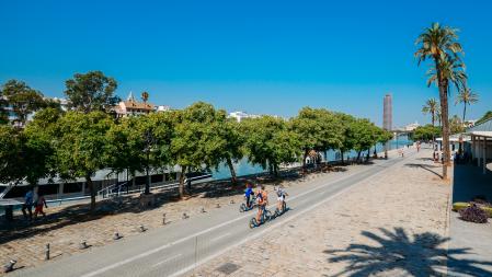 En 2013, Sevilla alcanzó la cuarta posición ene el ranking "The Copenhagenize Index", un estudio sobre las ciudades más preparadas para el ciclismo urbano.