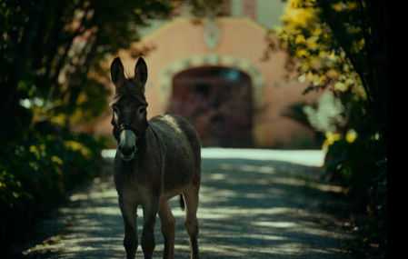 Un fotograma de 'Eo'