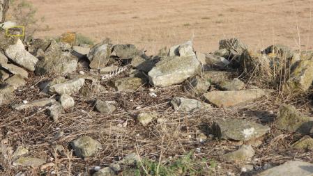 La posición del pequeño dragón señalizada con un círculo amarillo.