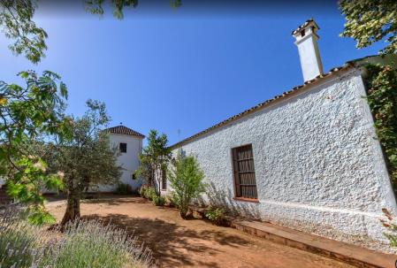 Vista posterior de una de las zonas de huerto con árboles frutales.