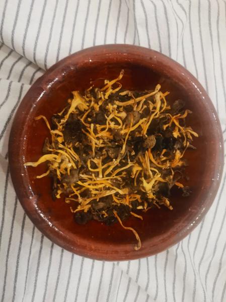 'Camagrocs' y trompetas de la muerte secos