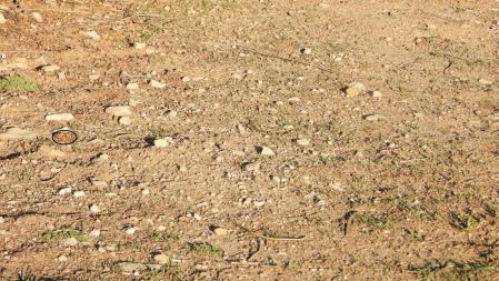 La posición de la mariposa señalizada.