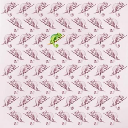 Solución reto visual