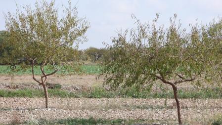 Solución al Reto visual.