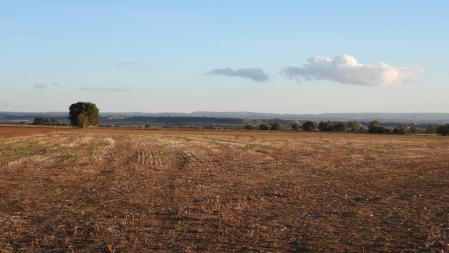 Reto visual: ¿Eres capaz de localizar al águila?