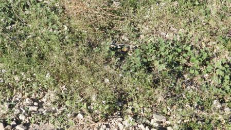 La solución al Reto visual de la vanesa.