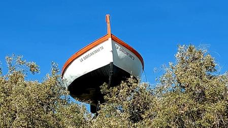 Viña de los Artistas.