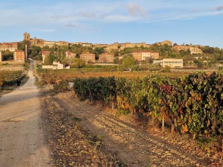 Otoño en la Rioja Alavesa.