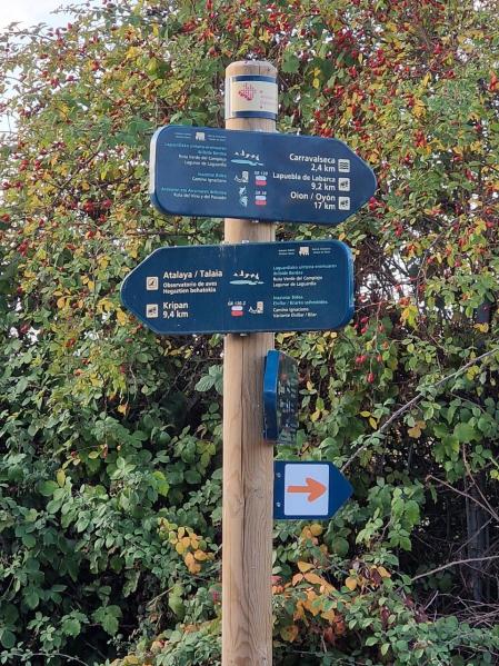 Otoño en la Rioja Alavesa.