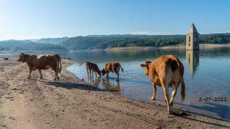 El pantano de Sau en julio de 2022.