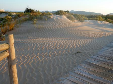 Dunas entre Gandía y Xeraco