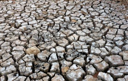 Sequía en Sau.