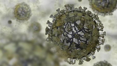 Recreación del virus de la gripe