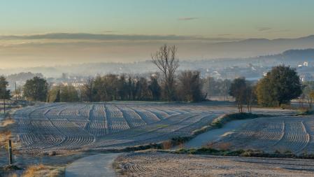 Helada en los alrededores de Manlleu.