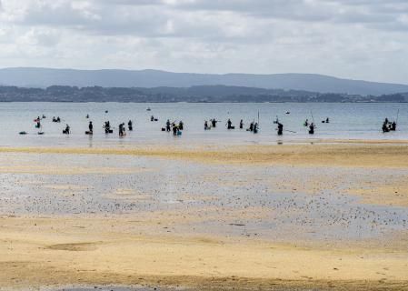 Grupo de mariscadores en una playa de Boiro (La Coruña)