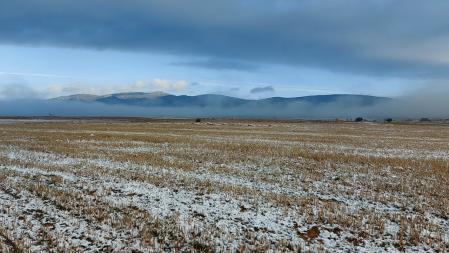 Helada en torno a la laguna de Gallocanta.